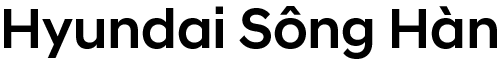 logo hyundai Sông Hàn